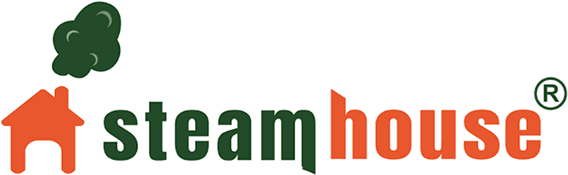 STEAMHOUSE INDIA LIMITED Share Price
